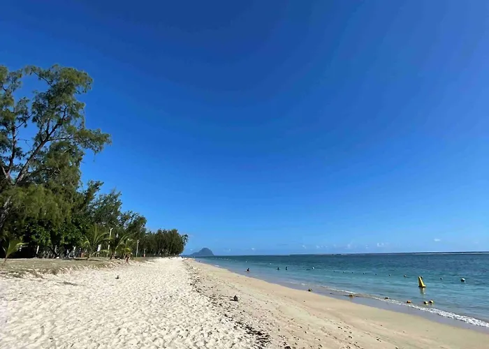 Sandy Shore